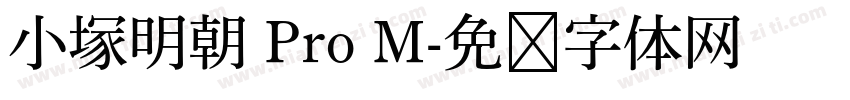 小塚明朝 Pro M字体转换